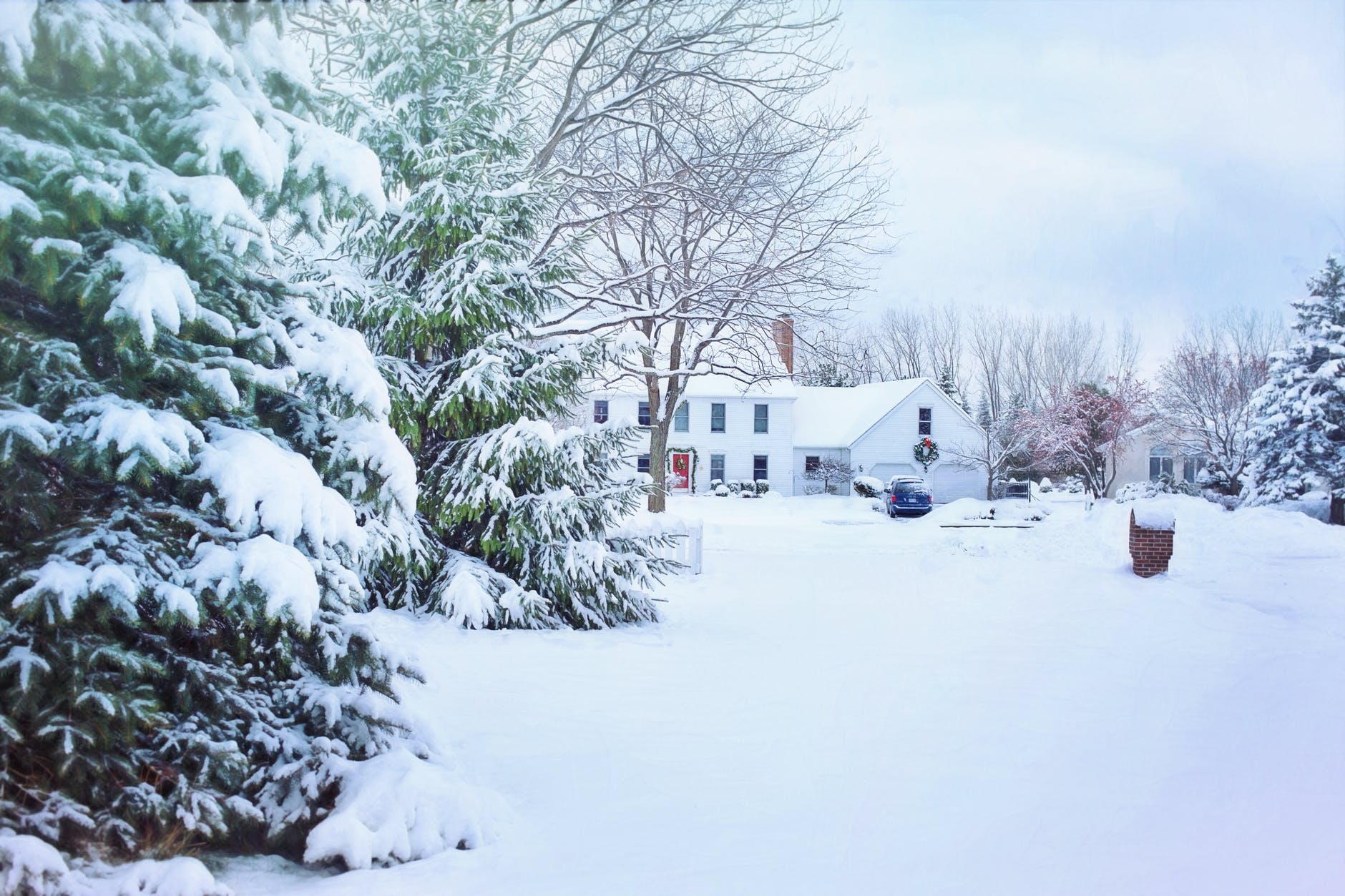 christmas christmas house cold fir